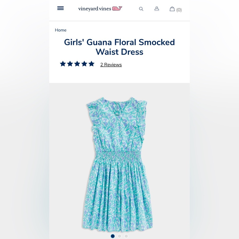 Vineyard Vines Girls Size XL Smocked Dress Gunna Floral Print Lined Blue Green